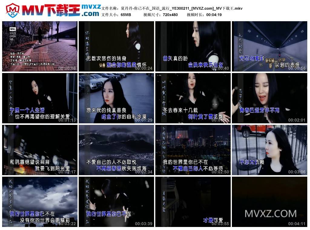 夏丹丹-你已不在_国语_流行_YE300211